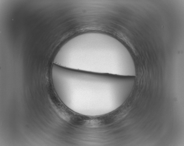 X0000075860212200609291556