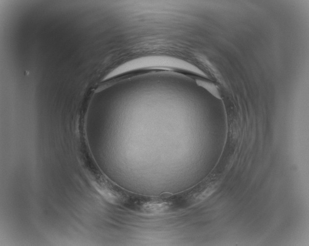 X0000075860213200609291556