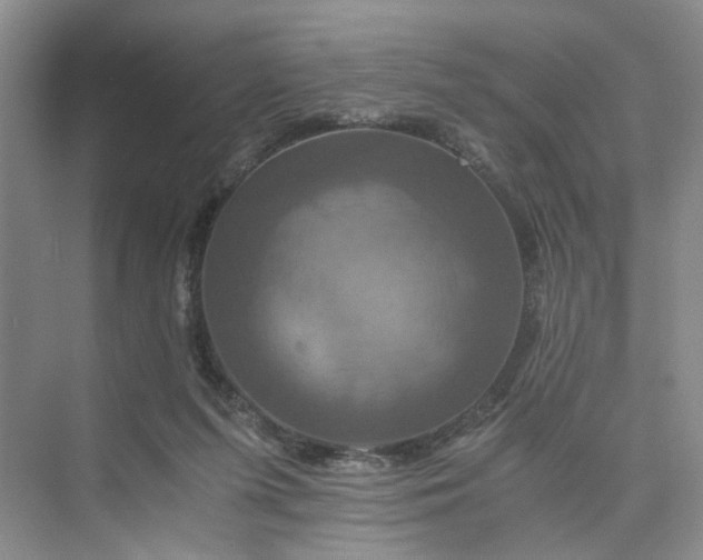 X0000075860215200609291556