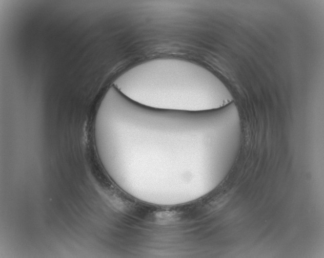 X0000075860216200609291556