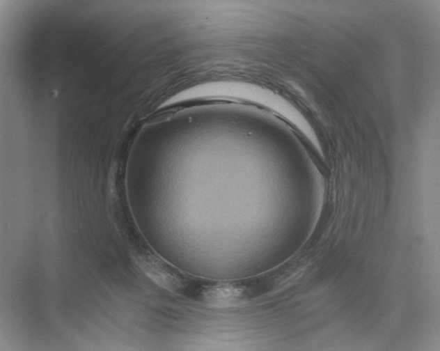 X0000075860217200609291556