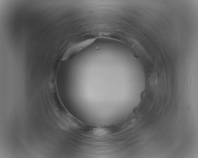 X0000075860218200609291556