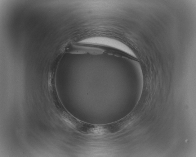 X0000075860219200609291556