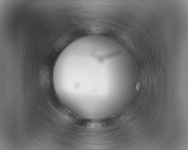 X0000075860220200609291556