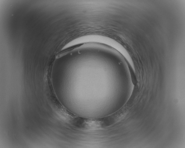 X0000075860221200609291556