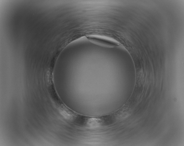 X0000075860222200609291556