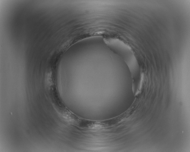 X0000075860224200609291556