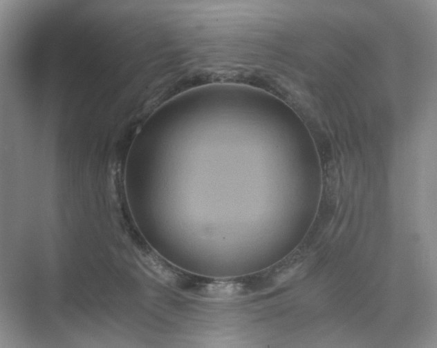 X0000075860225200609291556