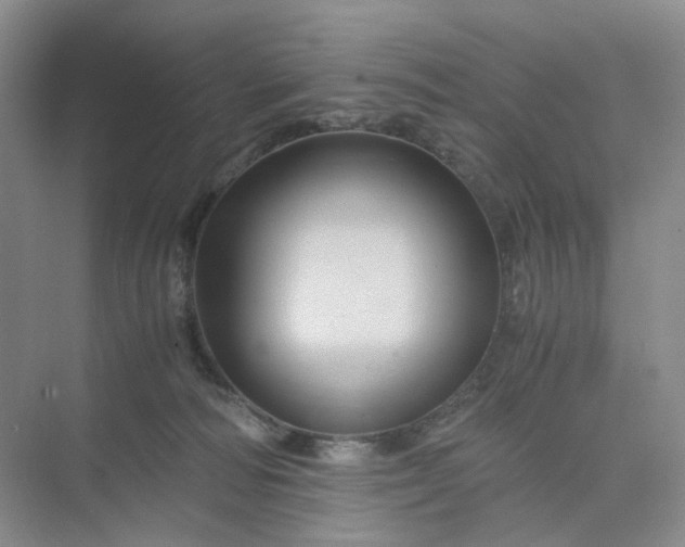 X0000075860226200609291556