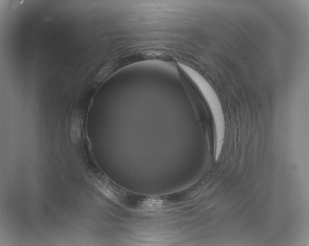 X0000075860227200609291556