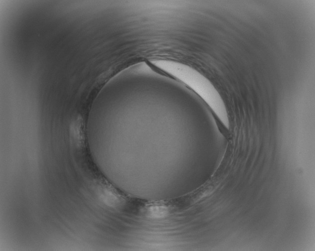 X0000075860228200609291556