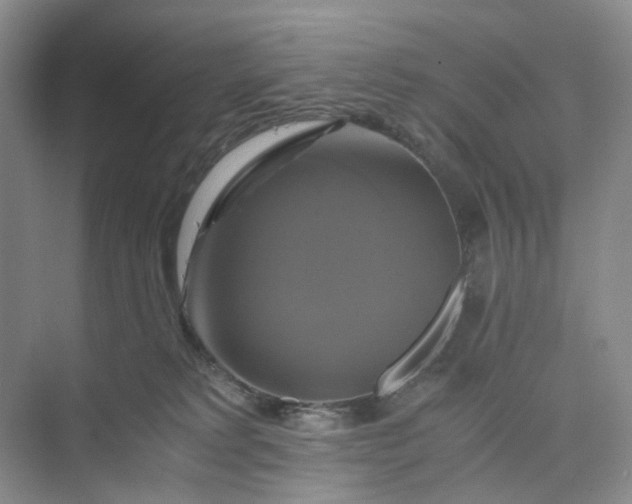 X0000075860229200609291556