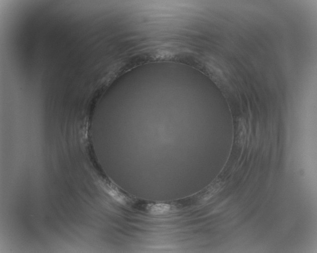 X0000075860230200609291556