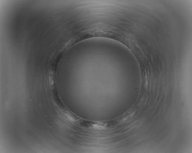 X0000075860232200609291556