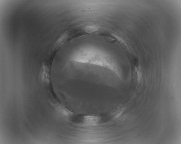 X0000075860234200609291556