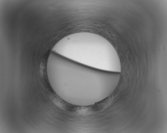 X0000075860235200609291556