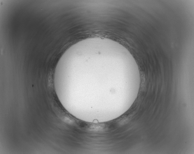 X0000075860236200609291556