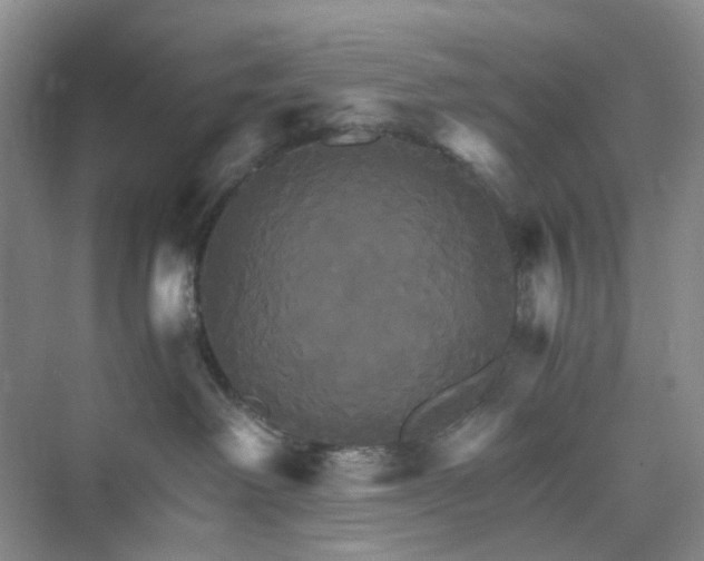 X0000075860238200609291556