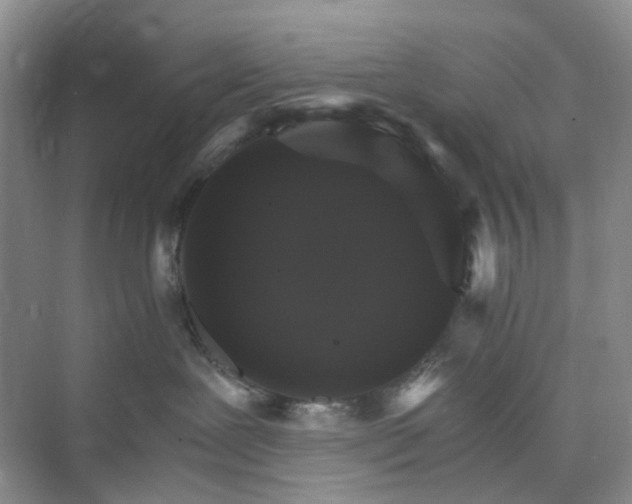 X0000075860239200609291556