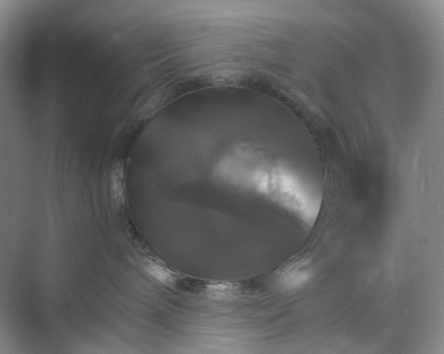 X0000075860240200609291556