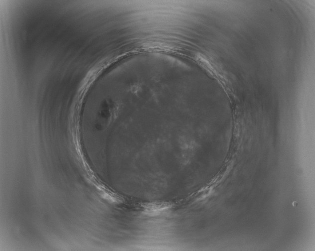 X0000075860241200609291555