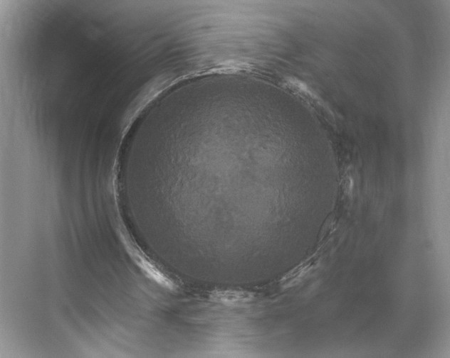 X0000075860242200609291555