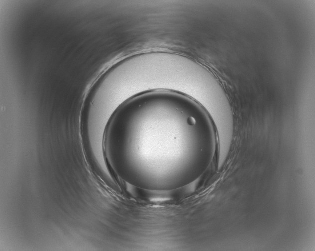 X0000075860244200609291555