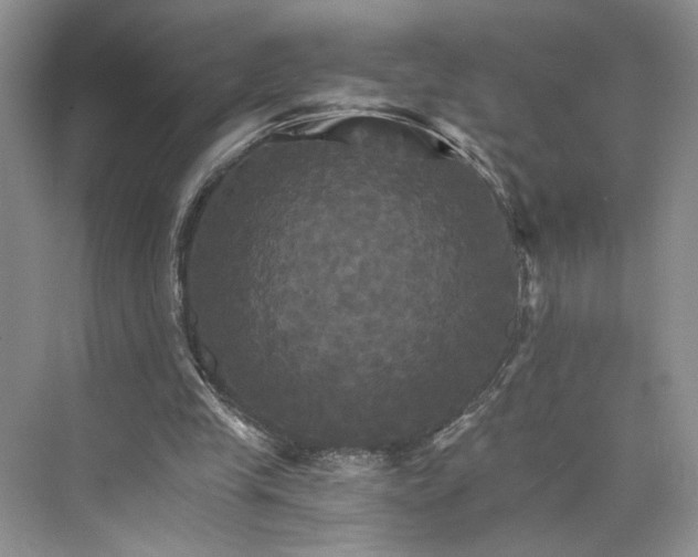 X0000075860245200609291555