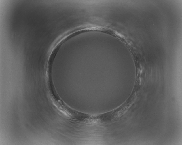 X0000075860247200609291555