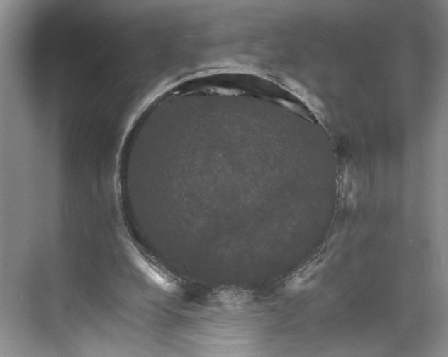 X0000075860248200609291555