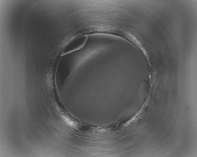 X0000075860249200609291555