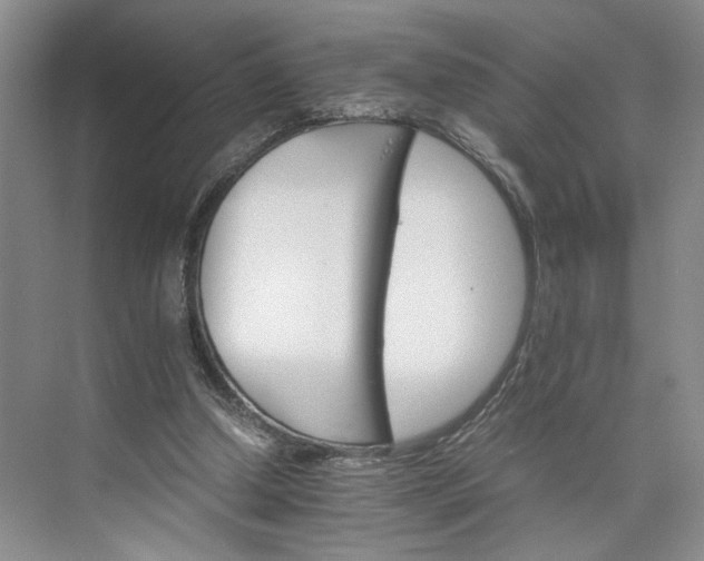 X0000075860250200609291555