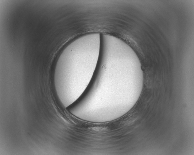 X0000075860251200609291555