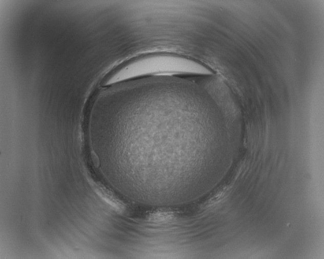 X0000075860252200609291555