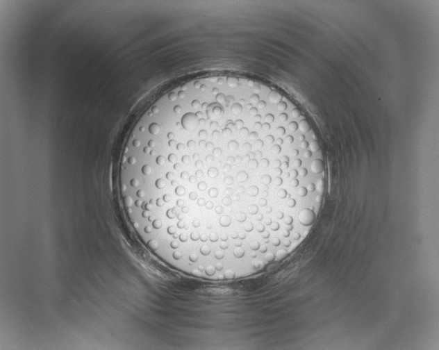 X0000075860253200609291555