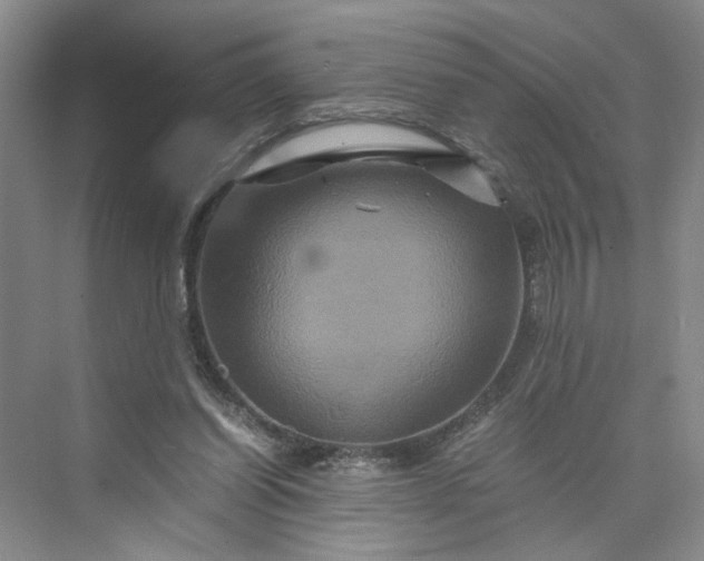 X0000075860254200609291555