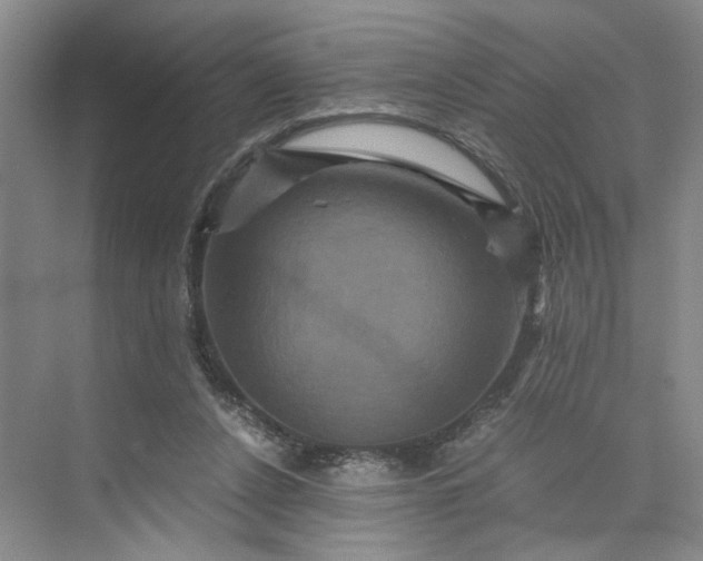 X0000075860256200609291555