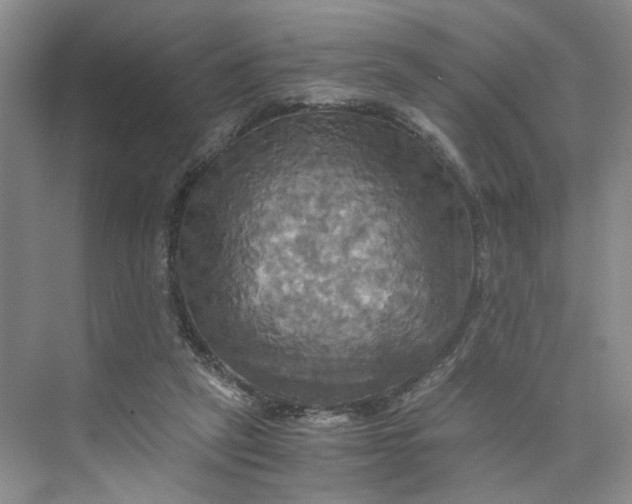 X0000075860257200609291555