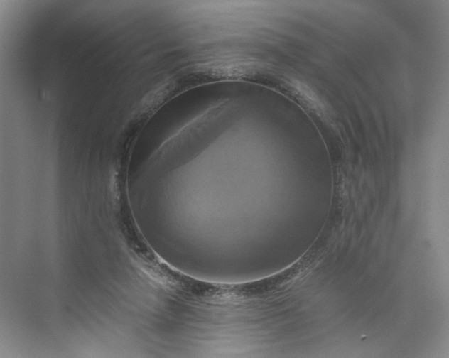 X0000075860258200609291555