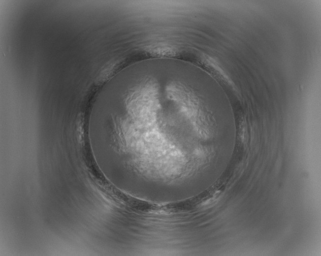 X0000075860259200609291555