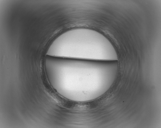 X0000075860260200609291555