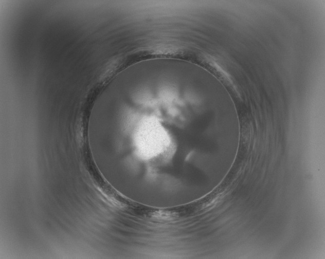 X0000075860261200609291555