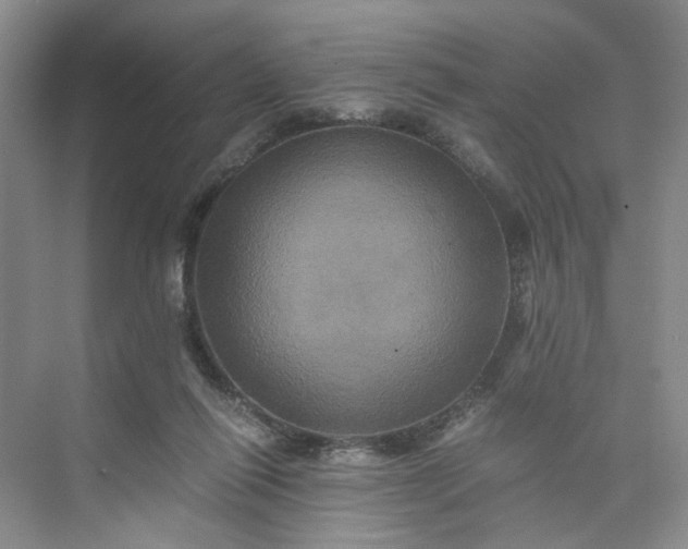 X0000075860262200609291555