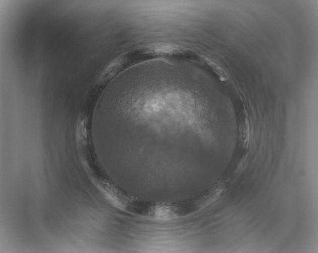 X0000075860264200609291555