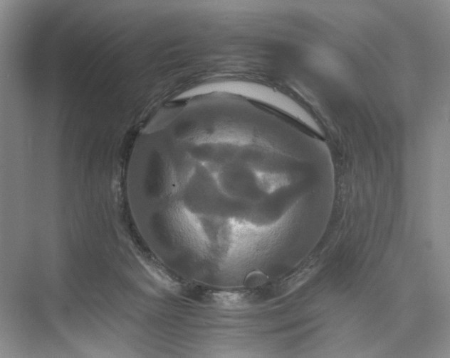 X0000075860265200609291555