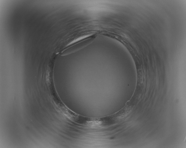 X0000075860266200609291555