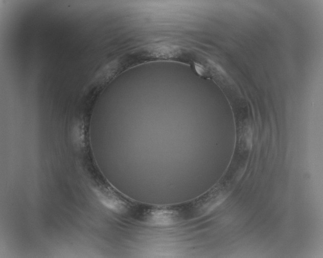 X0000075860268200609291555