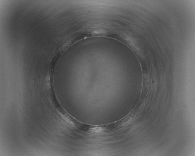 X0000075860269200609291555