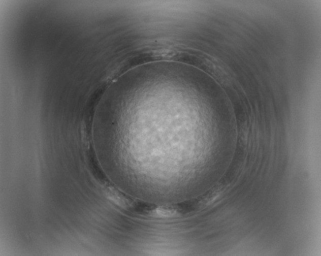 X0000075860270200609291555