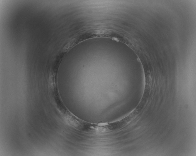 X0000075860272200609291555